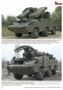CZECH REPUBLIC ARMY (2)